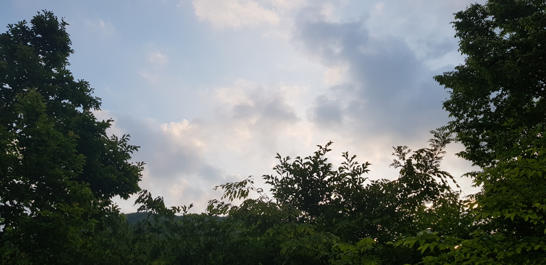 ce8b8b38a2a88aa0cf2b64a3471c9c36_1621218598_9495.jpg