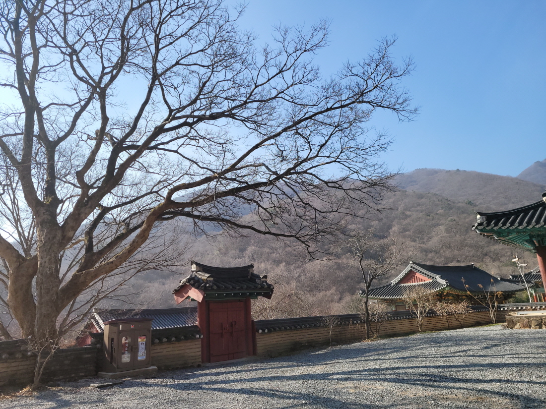 6de5a976a84a934838d71627b37dcea7_1640417343_9604.jpg