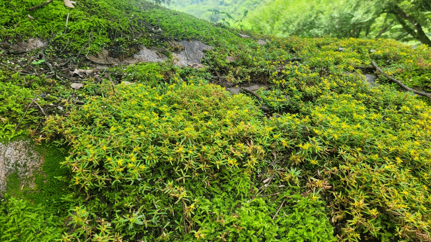 6a5aa60be706aa8446495749ebf9aed8_1783657312_5006.jpg